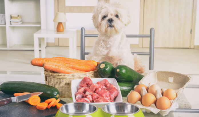 Top Ingredients to Look for in Natural Dog Food